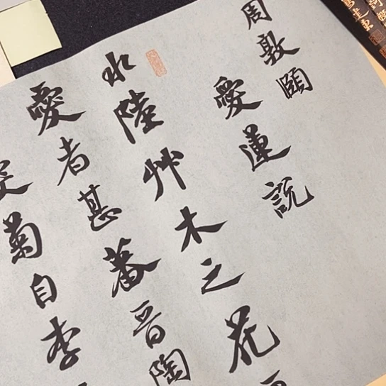 书法张建东老师书法作品