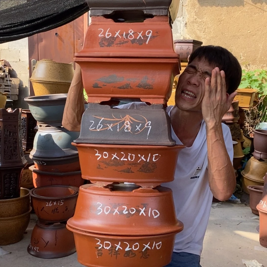 紫砂紫砂紫砂紫砂