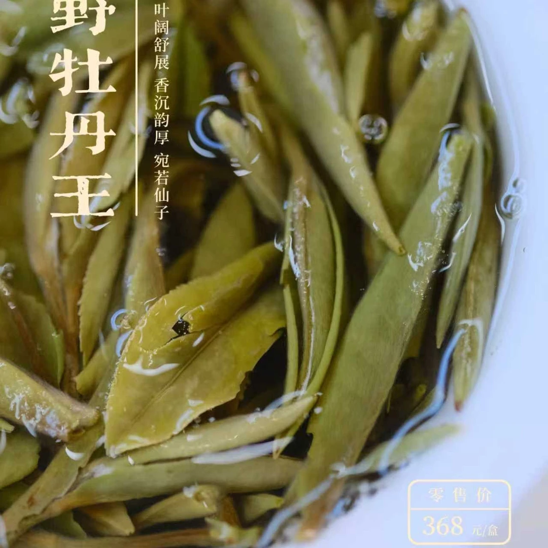 【锅姐专属·5折福利】福建白茶荒野牡丹王毫香蜜韵伴手礼12泡*5克