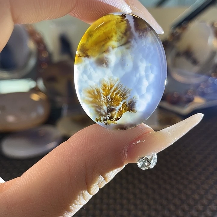 玛瑙/玉髓未镶嵌颈饰