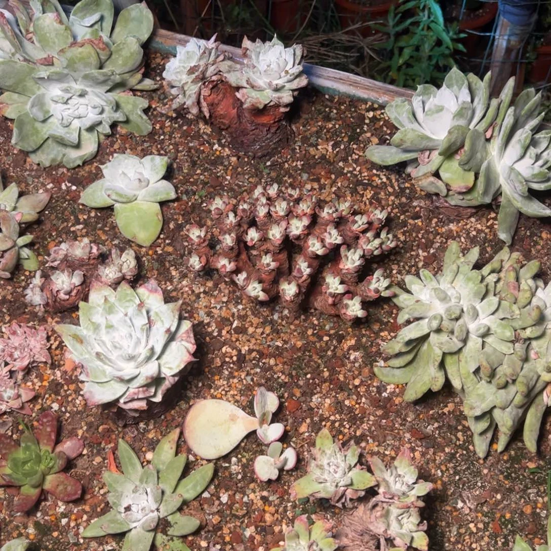 呆***强2208哈哈哈哈哈哈哈哈