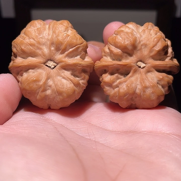 核桃把件蛤蟆头