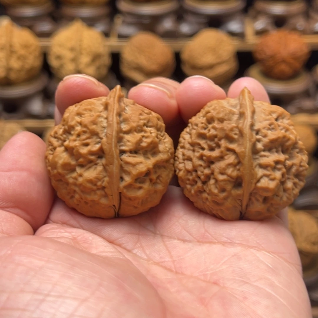 文玩核桃把件39mm毒液。五毒之一