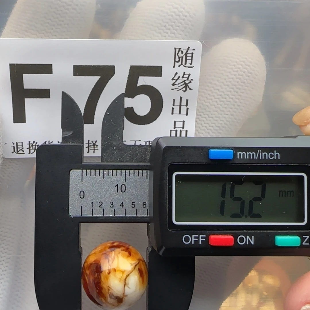 琥珀未镶嵌裸石15尺寸