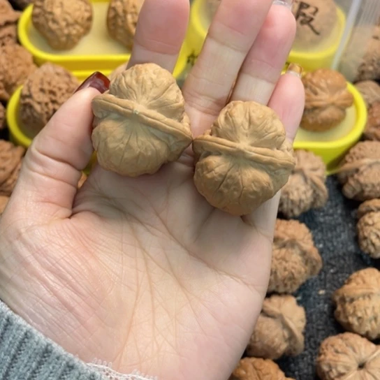 文玩核桃吊坠9古蝉