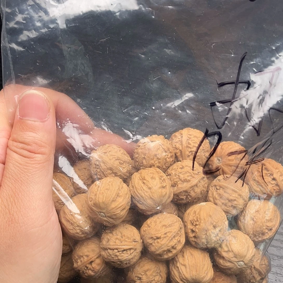 定制产品不退不换100