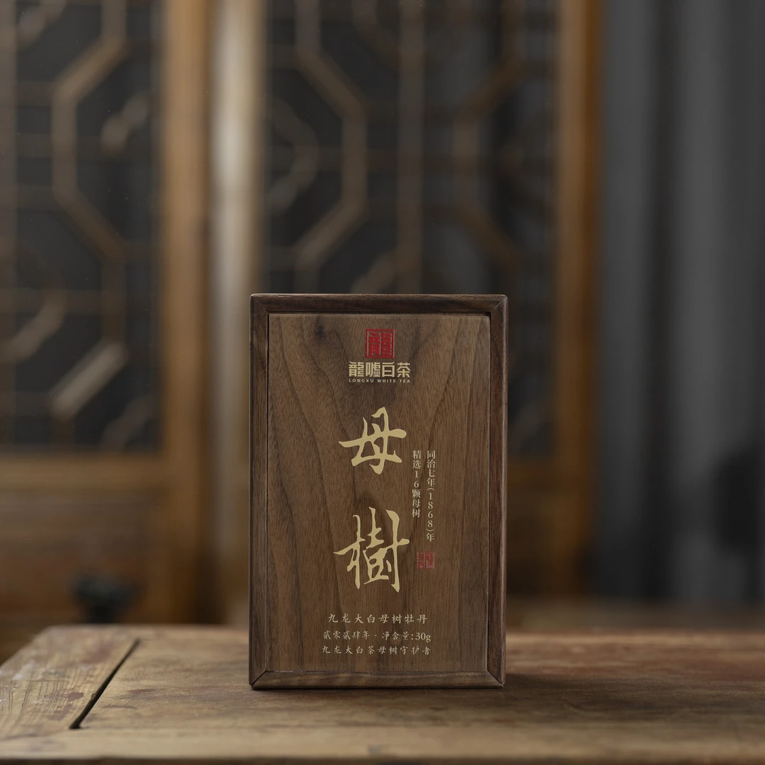 【大鹅甄选】龙嘘2024年母树九龙大白白牡丹30g