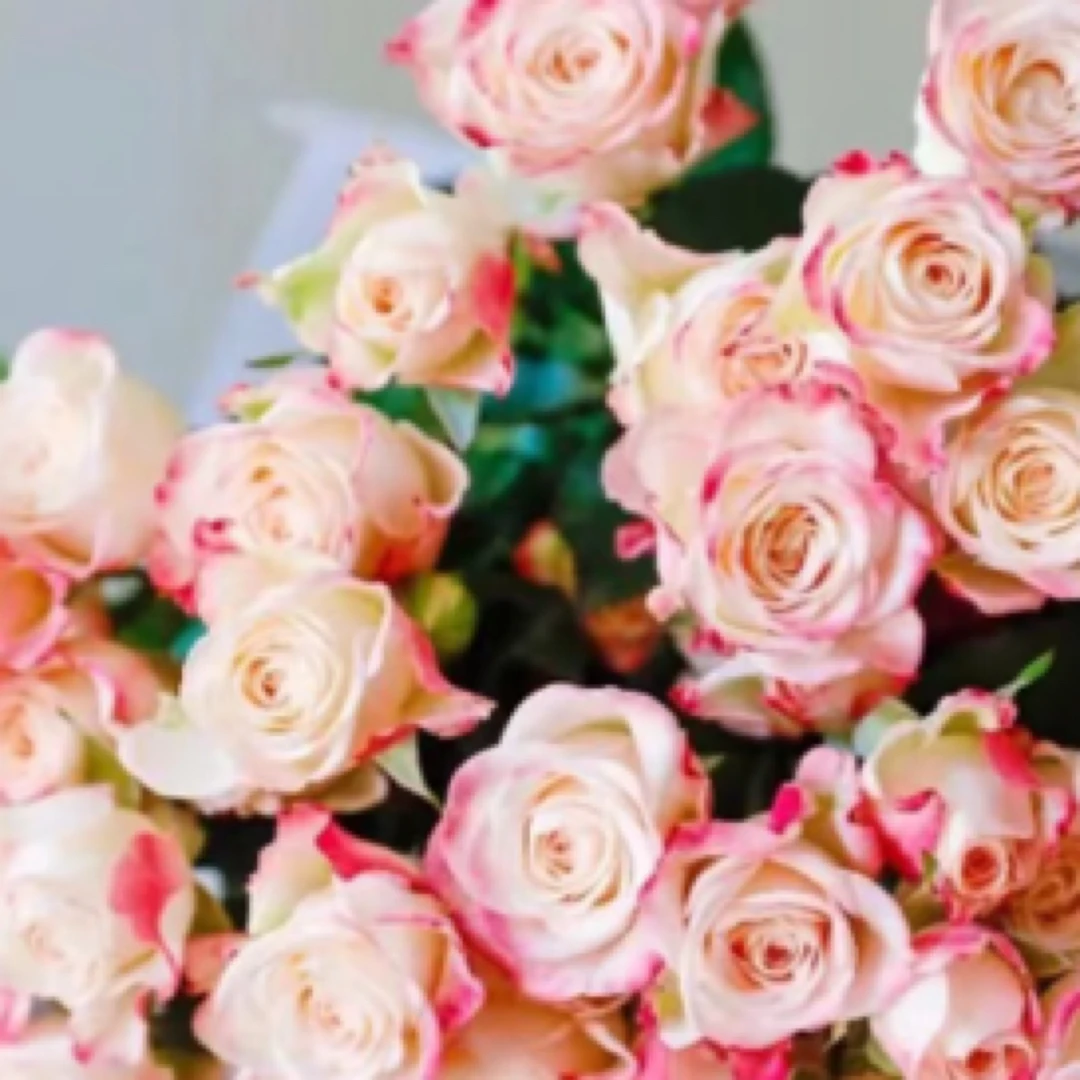 【巧遇】多头折射5支