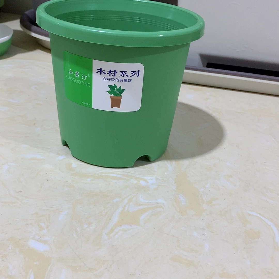 四季口15绿10个无托