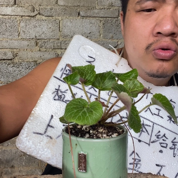 退款拉黑一物一拍282