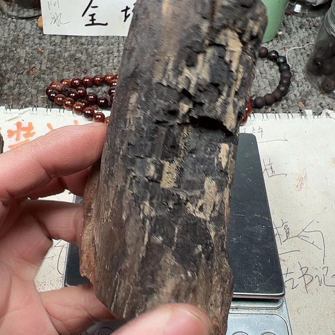 木本海南红降手把件碳化料145克