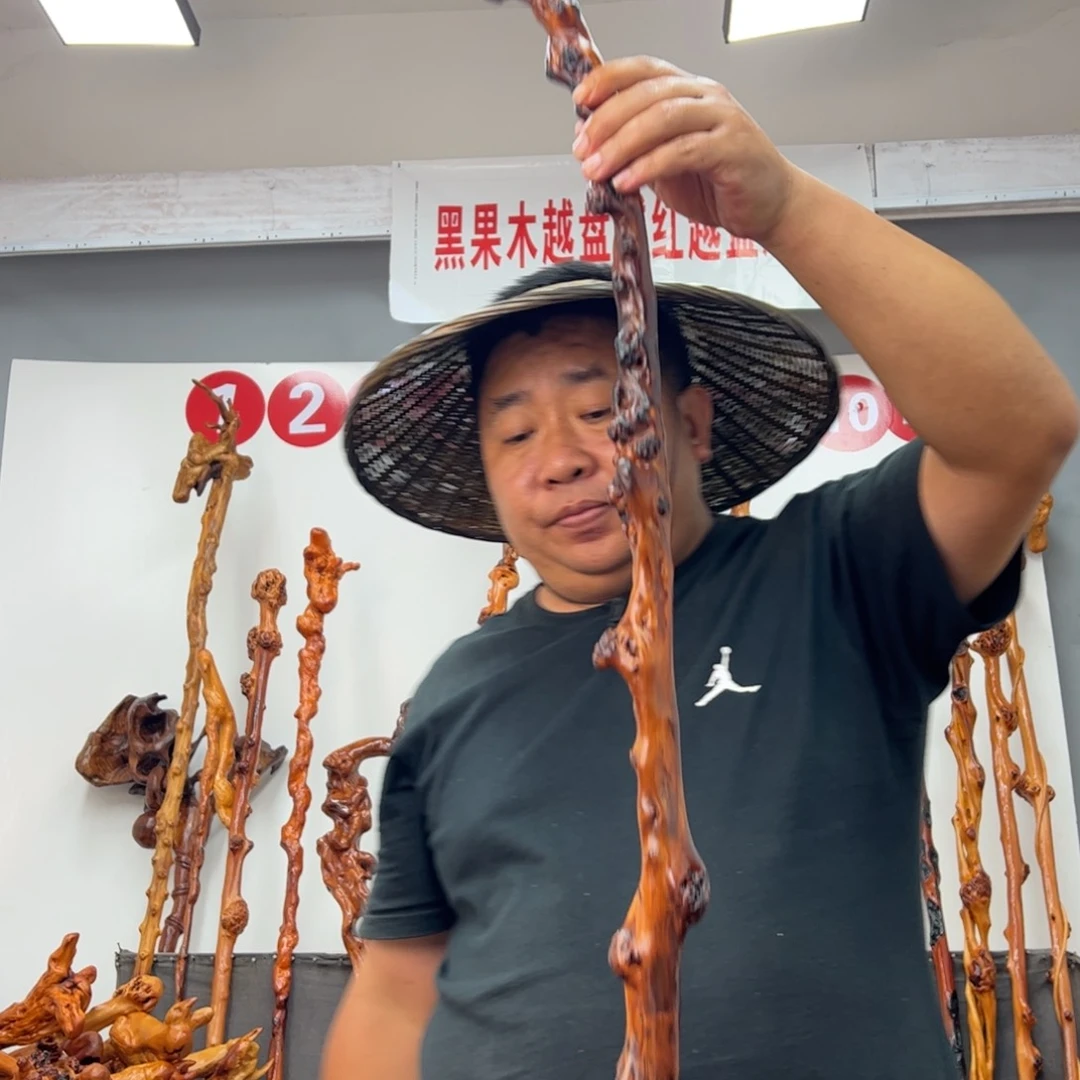 龙***天黑果木其他黑果木142