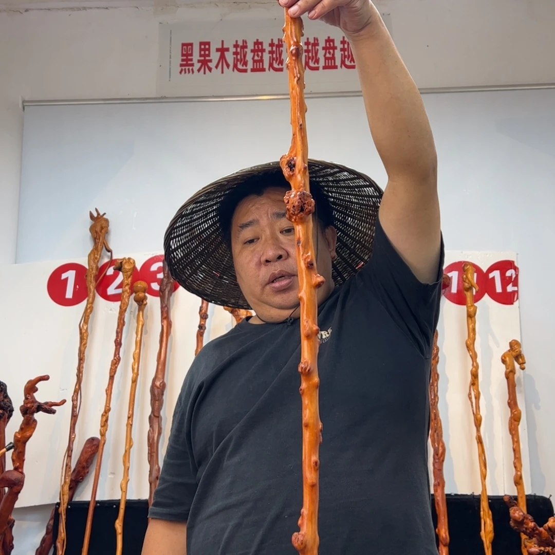 黑果木其他黑果木729