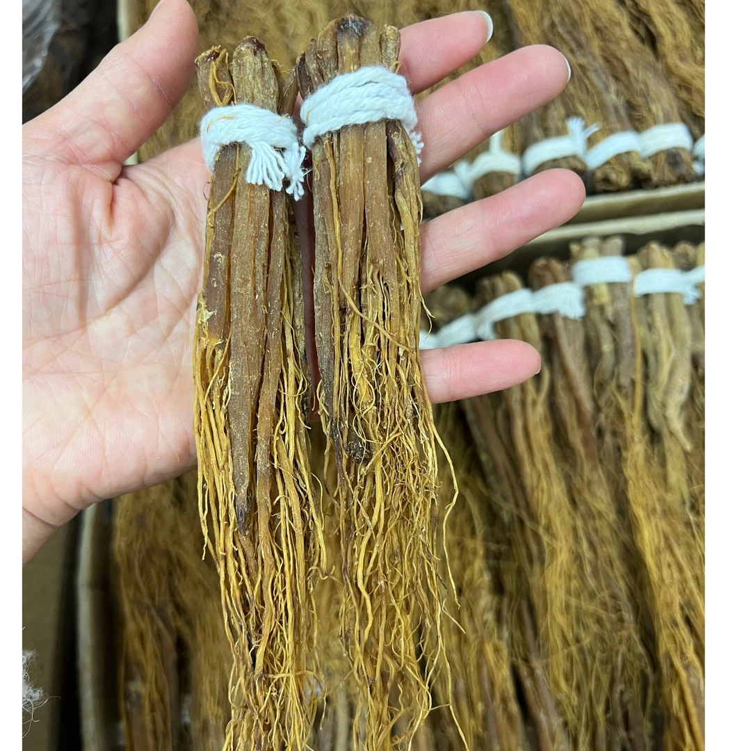 培辉堂精选 红参须