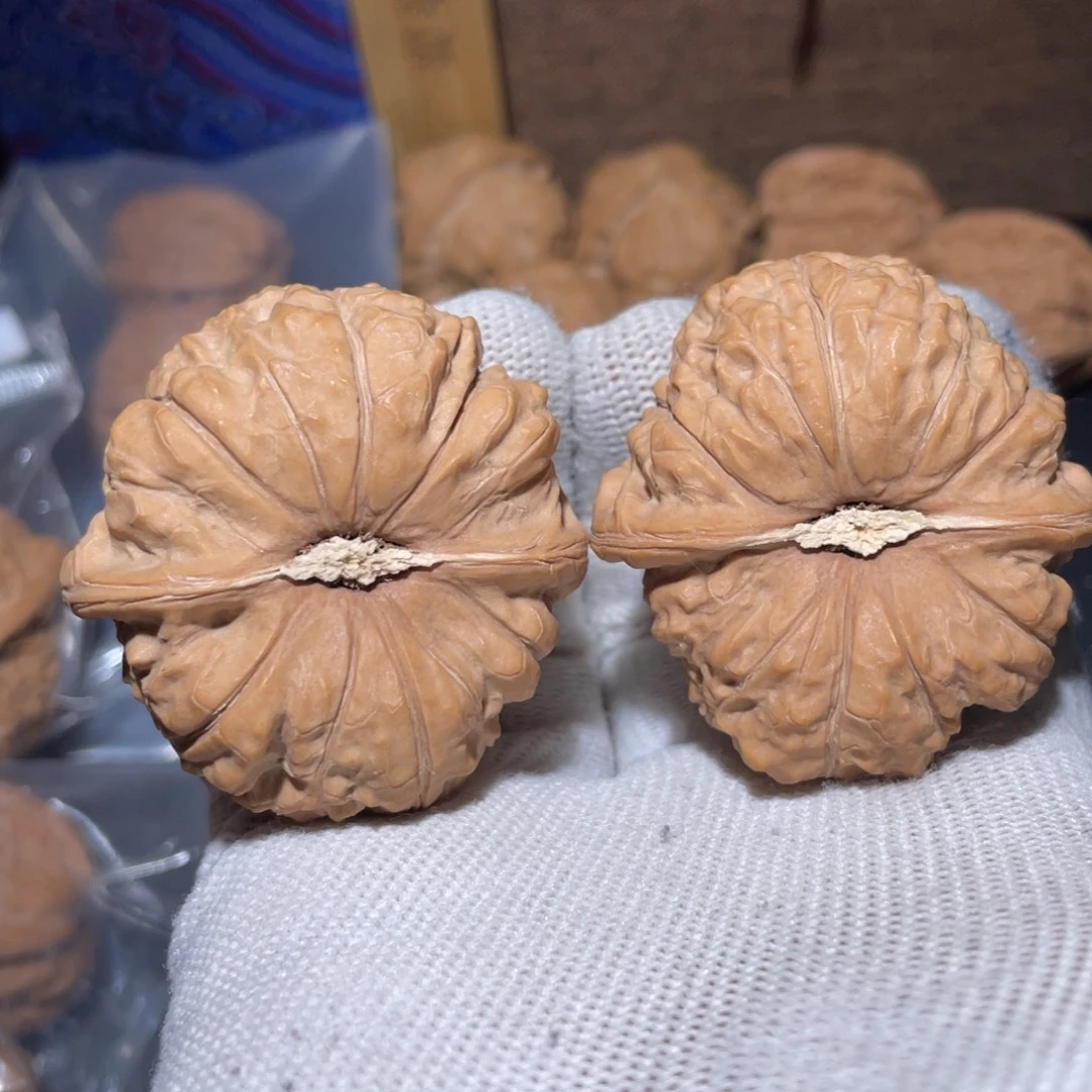 致***臻大叶紫檀（黑酸枝木类）