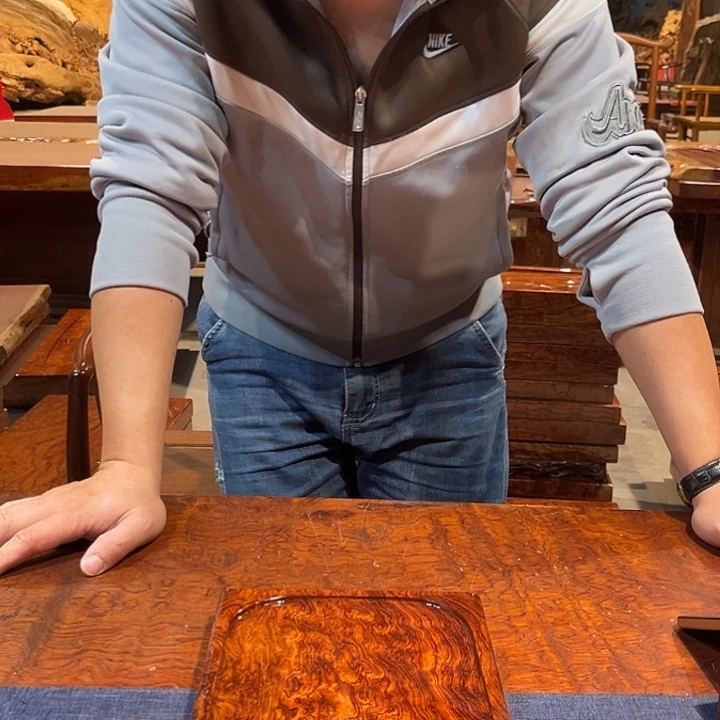 非***海巴花学名古夷苏木