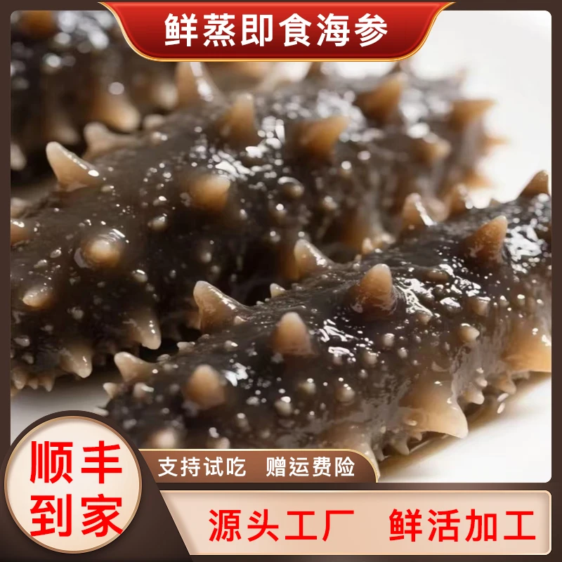 海参【软口海参】即时海参 3-9头/斤 深海海参 工厂直发 介意软勿拍