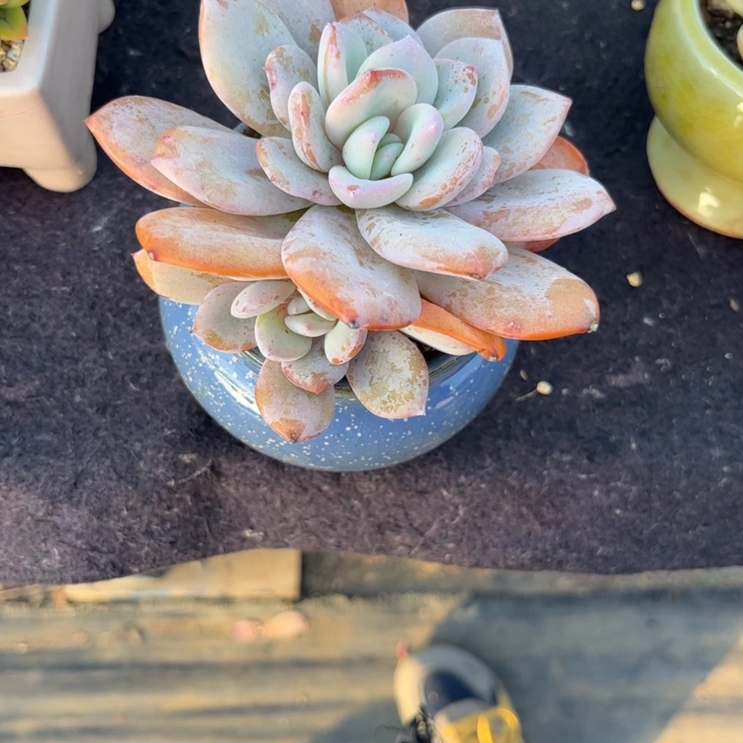 天***秋11111111111111111111