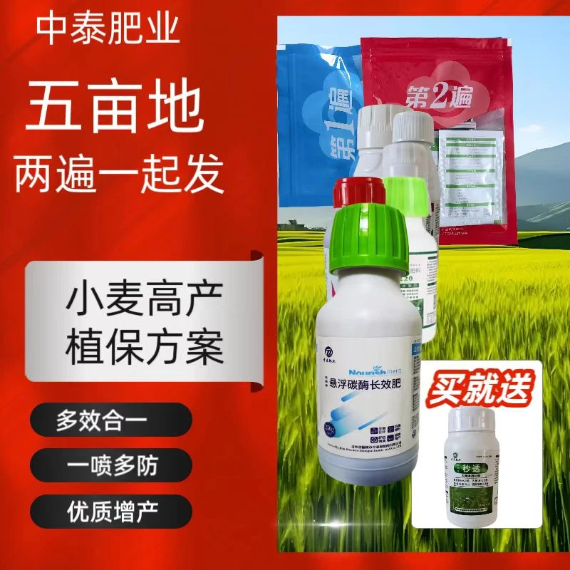 因圃绿小麦高产技术方案2遍药可打5亩地