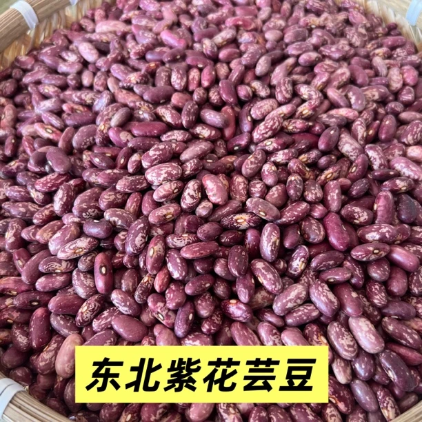 东北紫花芸豆，2025年新粮搭配熬粥做馅饭豆