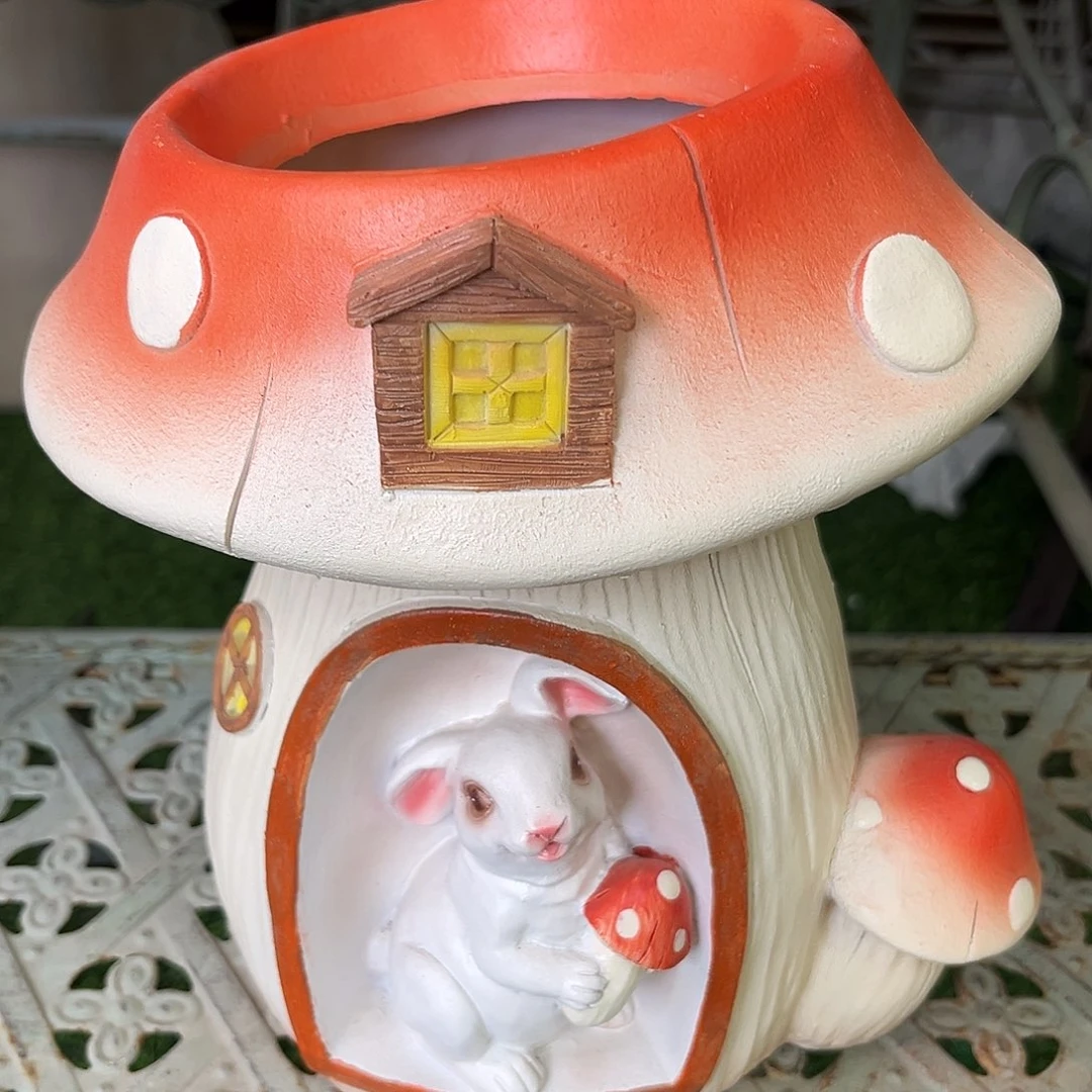 合成树脂Y**…蘑菇