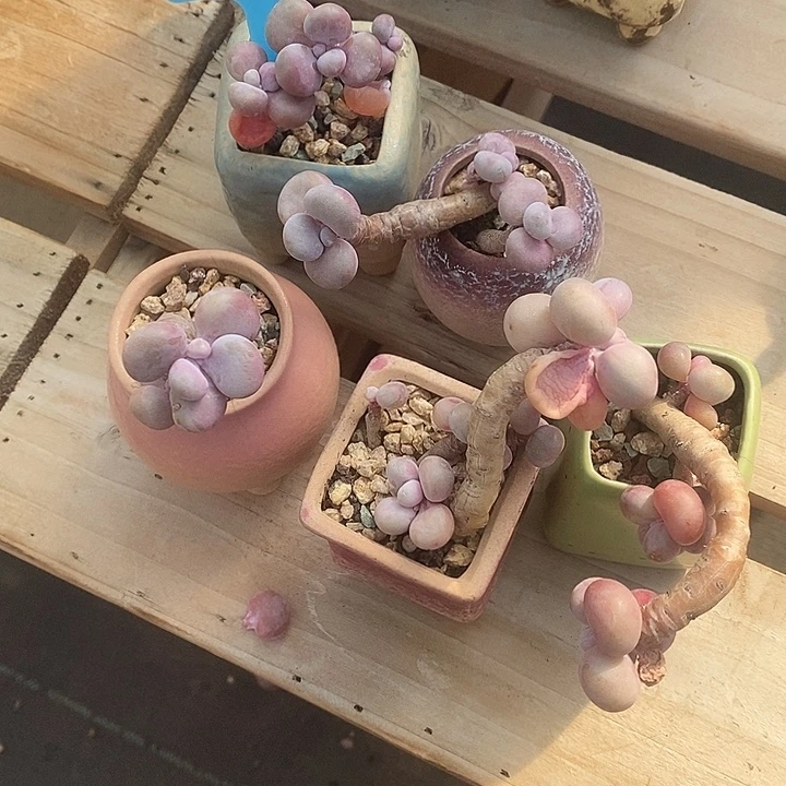 log群殴我嗯我默默哦呜图他