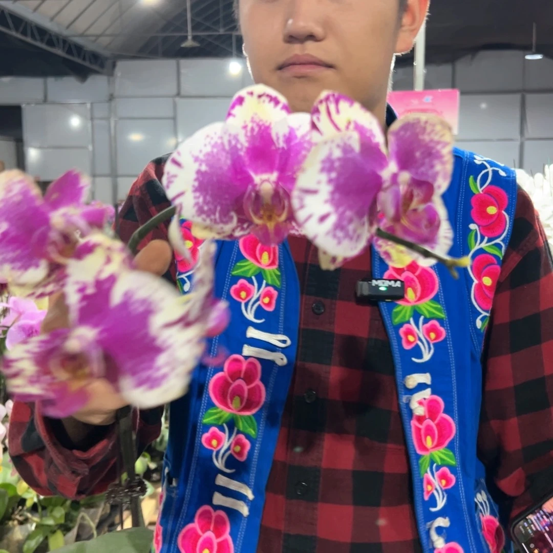 完全开放B-5555555