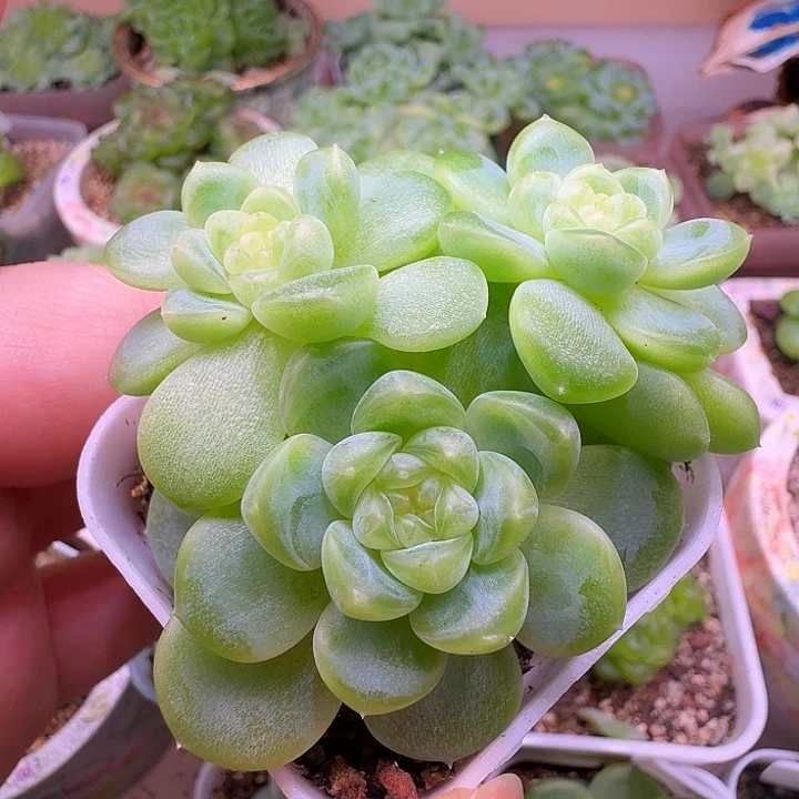 财富密码现金群福利