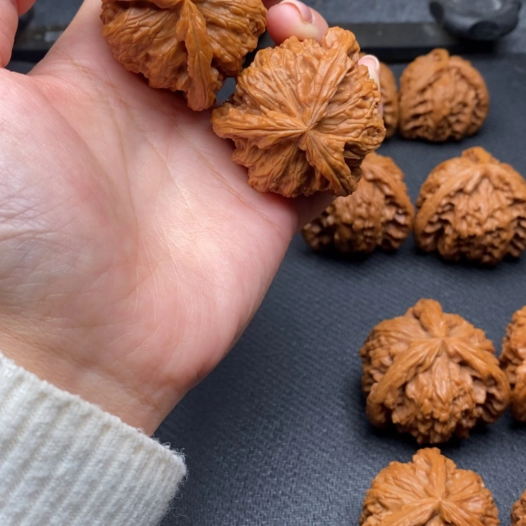 天**运白狮子111111111