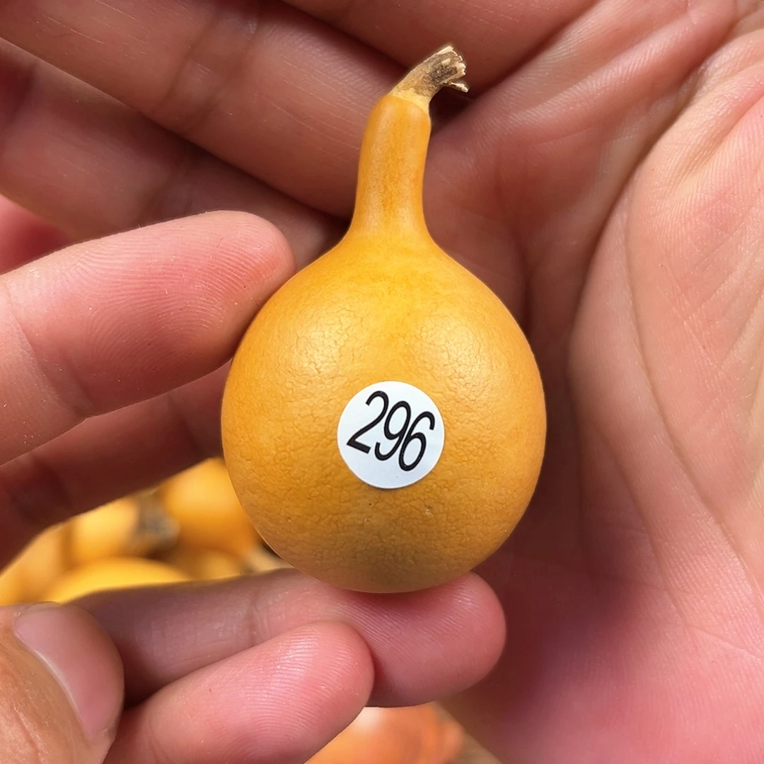 三葫芦葫芦葫芦葫芦 296