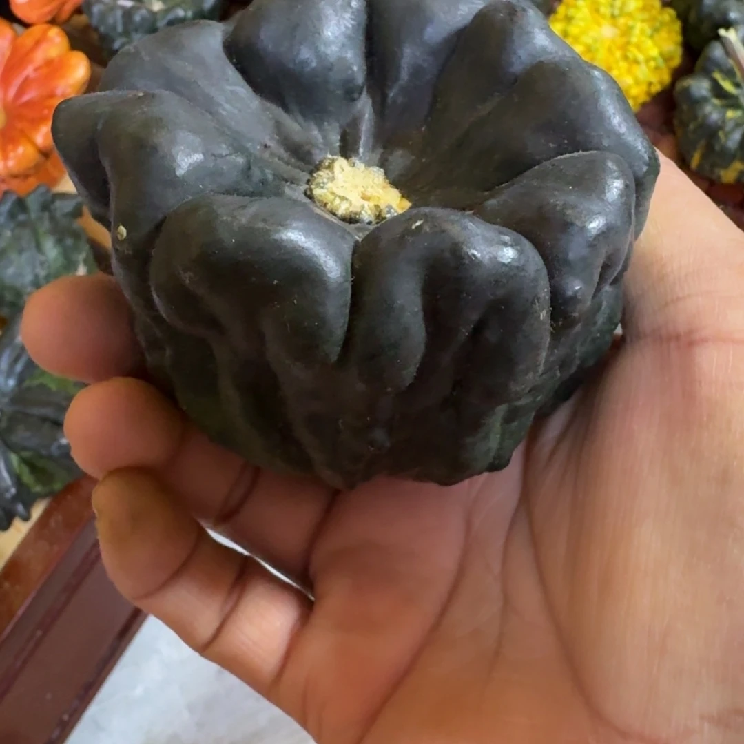 疙瘩葫芦小金刚一把70