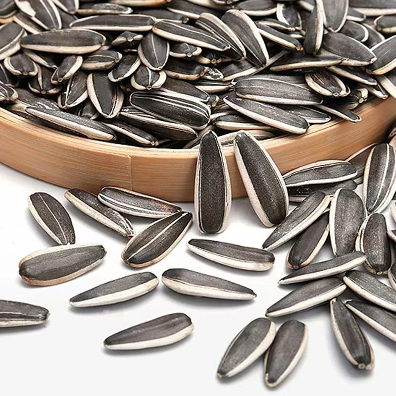 内蒙古原味熟瓜子买一斤送一斤现炒现发坚果零食散装hh