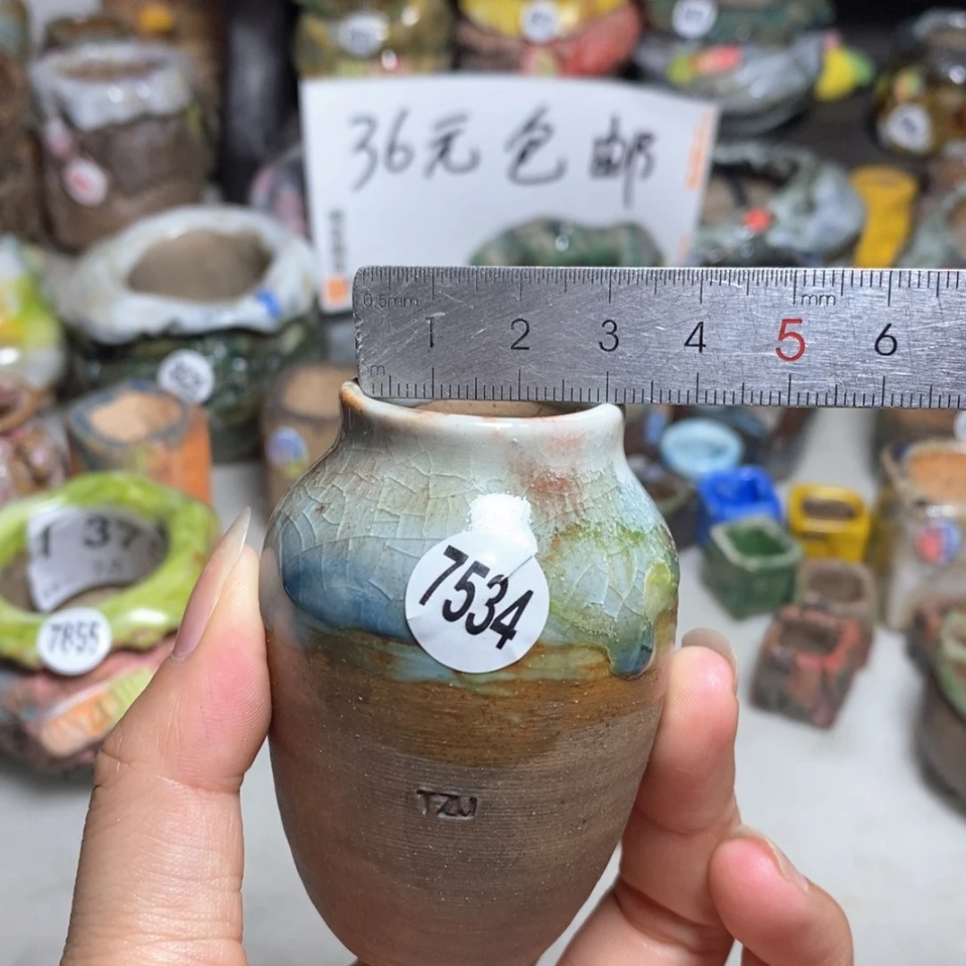拍5送一个小礼物