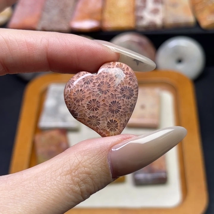 未镶嵌吊坠硅化珊瑚（珊瑚玉）