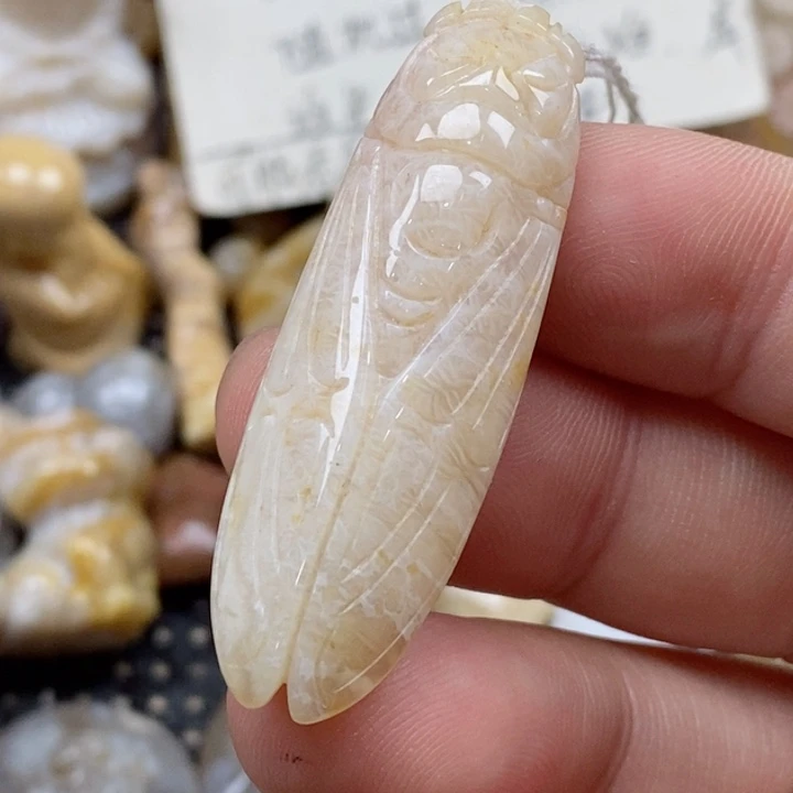 颈饰未镶嵌硅化珊瑚（珊瑚玉）