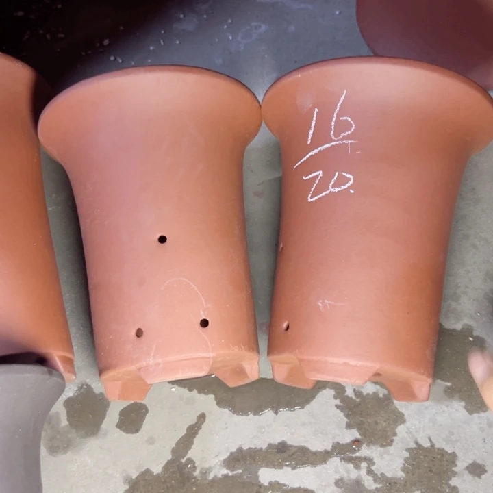 周深周深周深周深周深