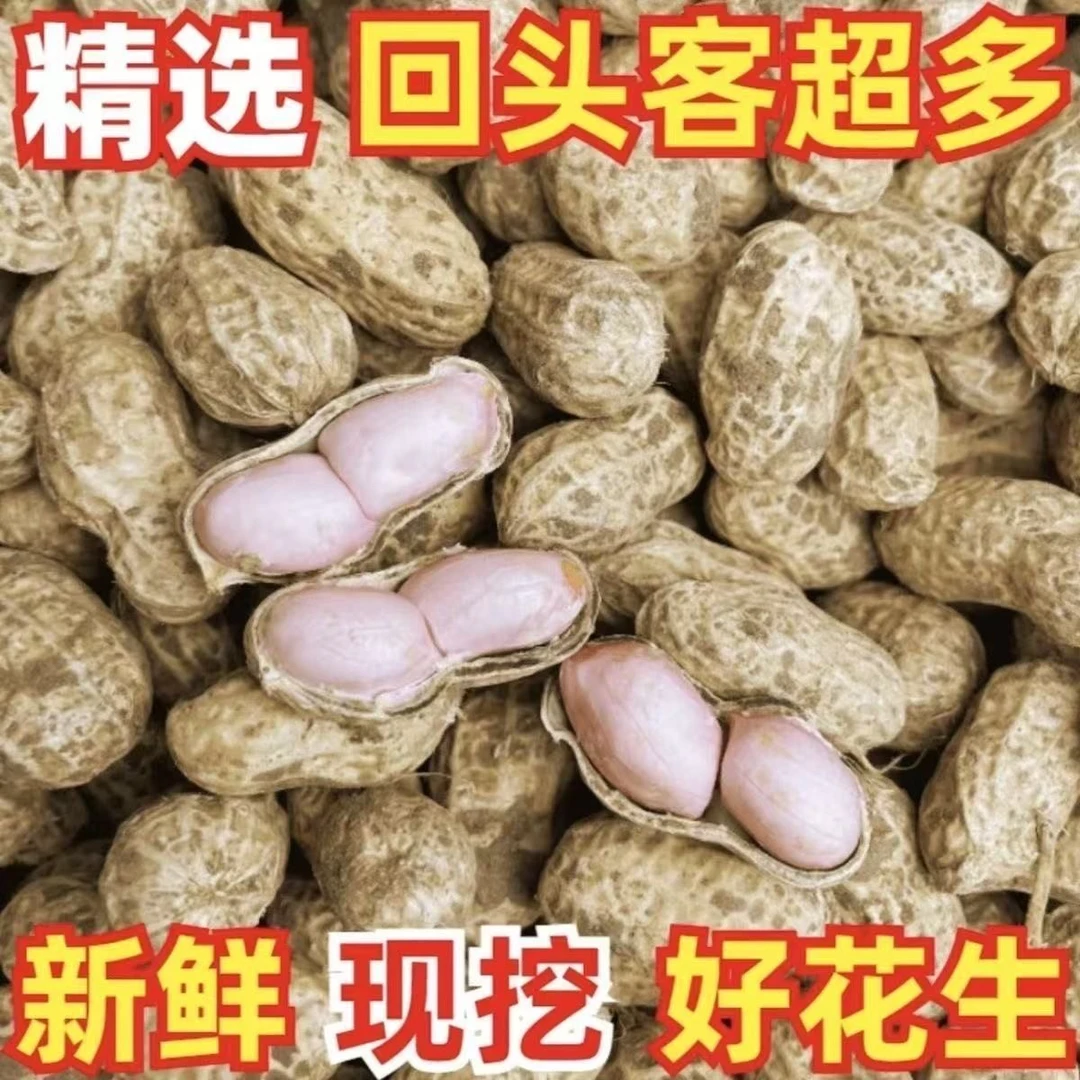 2025当季新鲜带泥花生新湿花生新鲜湿花生现挖现发带壳红皮粉皮鲜