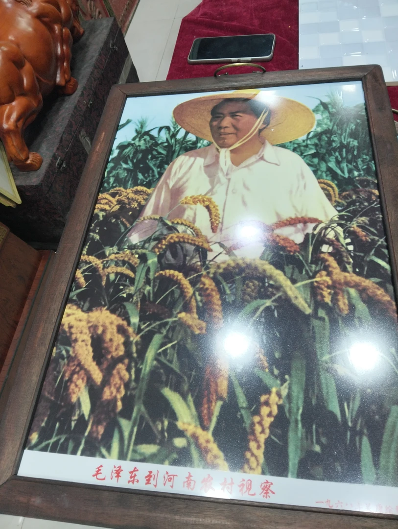 早期收藏，伟人在稻田中画像，产地不详，高65宽45