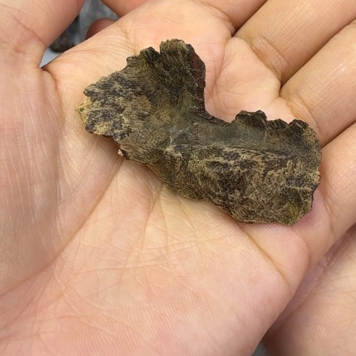 伟业香堂海南九分沉1.9克煮水料