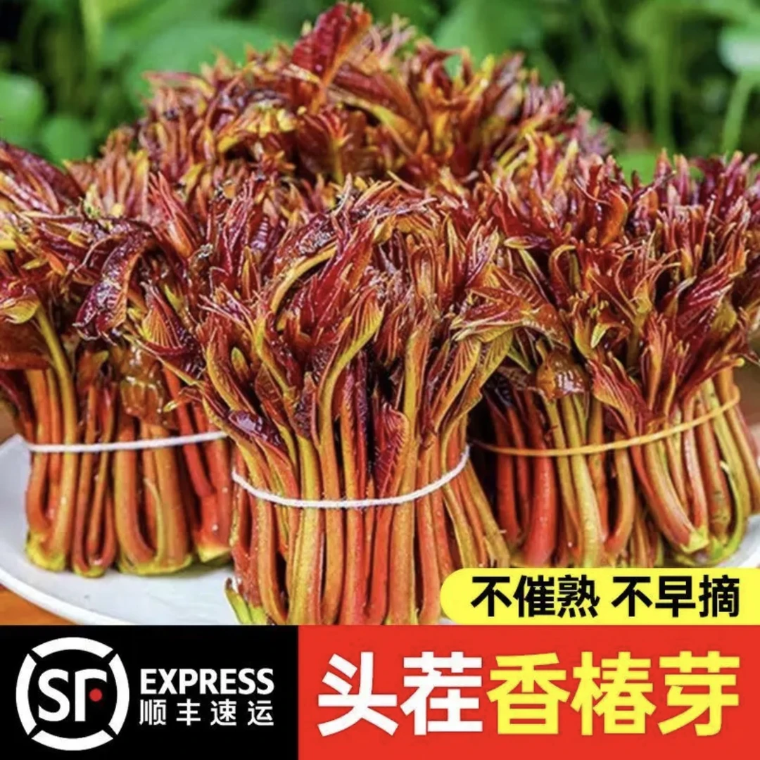 村支书金刚@竹溪香椿芽顺丰包邮