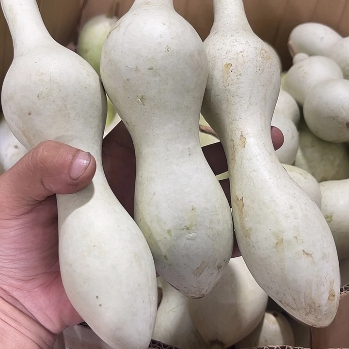 非洲紫檀（红花梨）西****风
