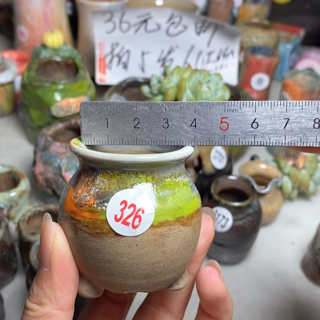 拍5送一个小礼物