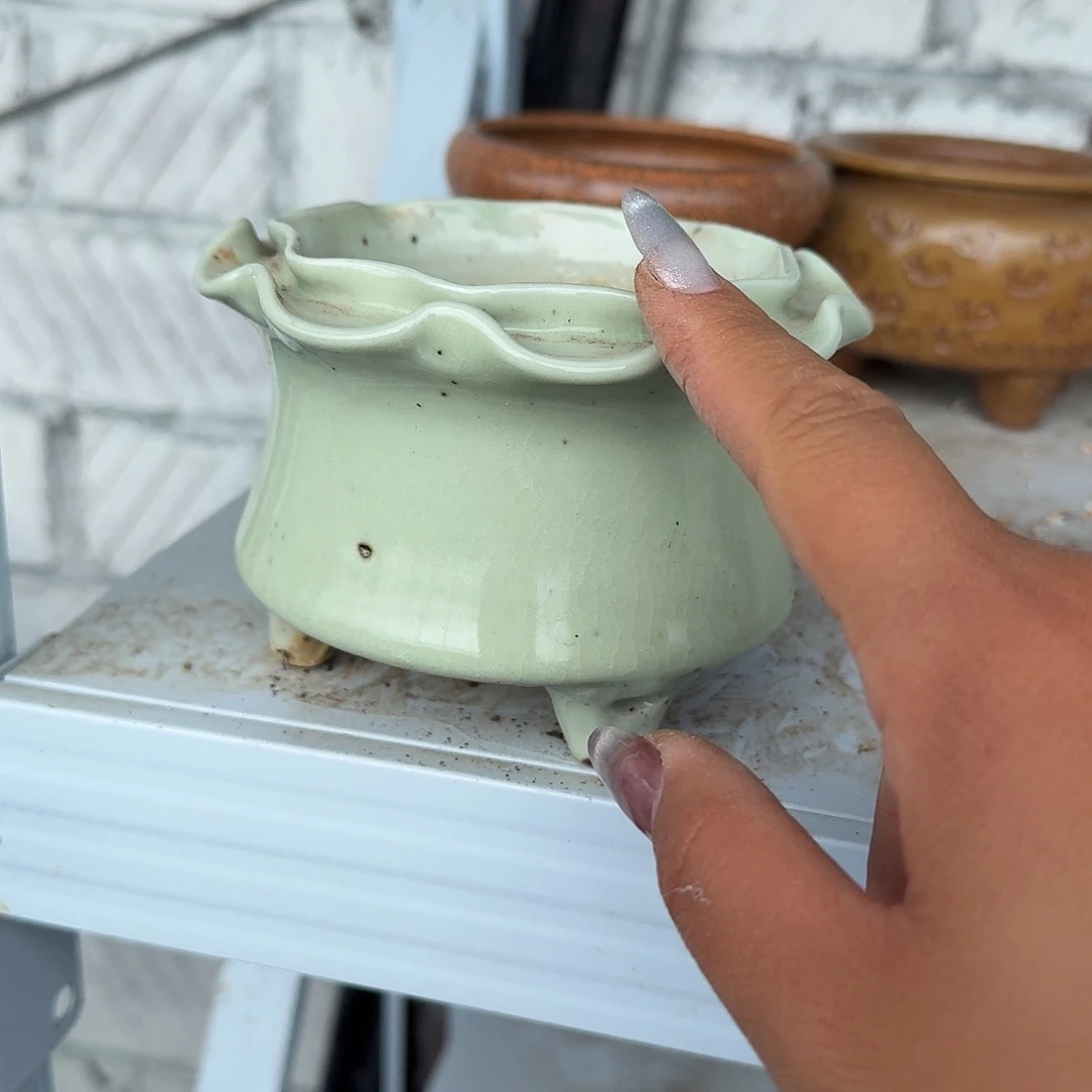 糖***、绿色双层花边花盆多肉