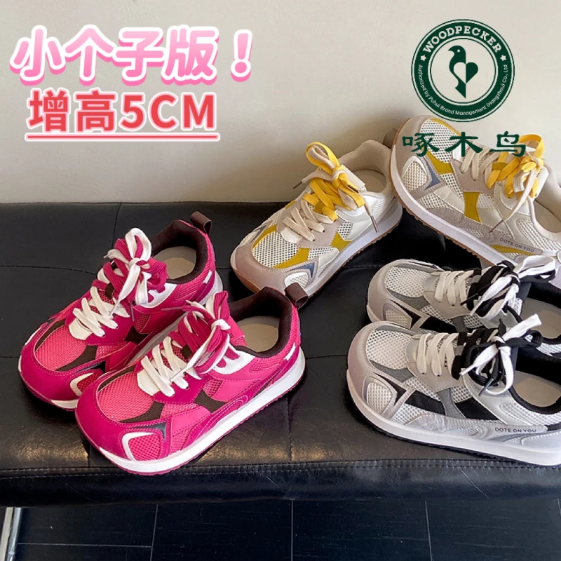 啄木鸟韩版火龙果配色透网阿甘鞋女2025夏新款透气显脚小休闲鞋潮