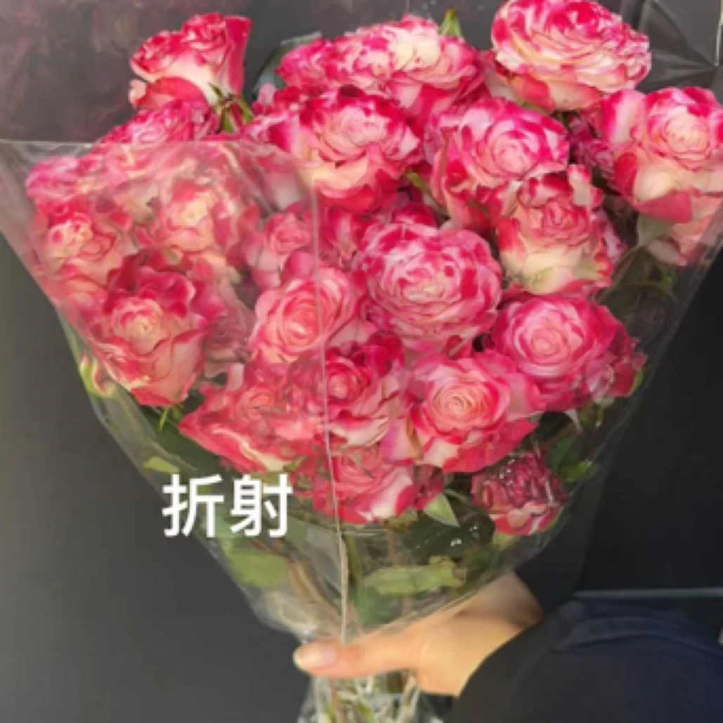 折射多头玫瑰  5支常州新北区汉江路花店 同城派送