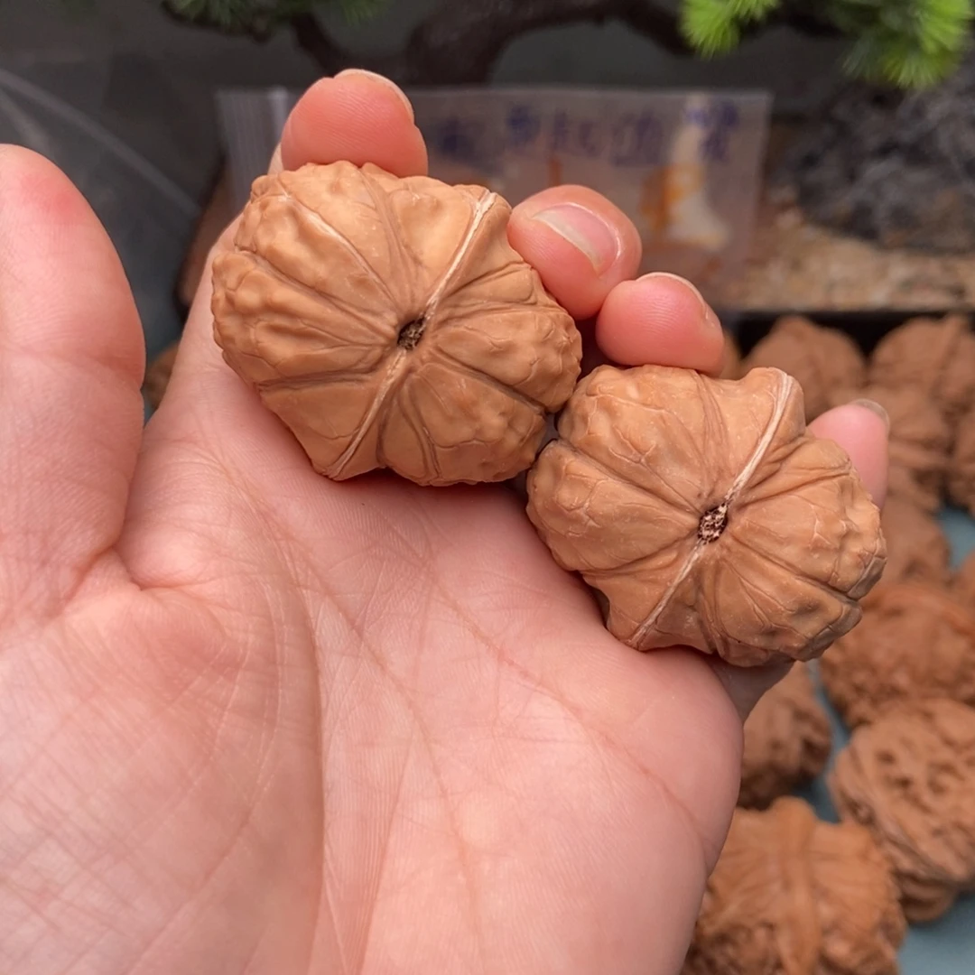 文玩核桃把件龟甲纹40