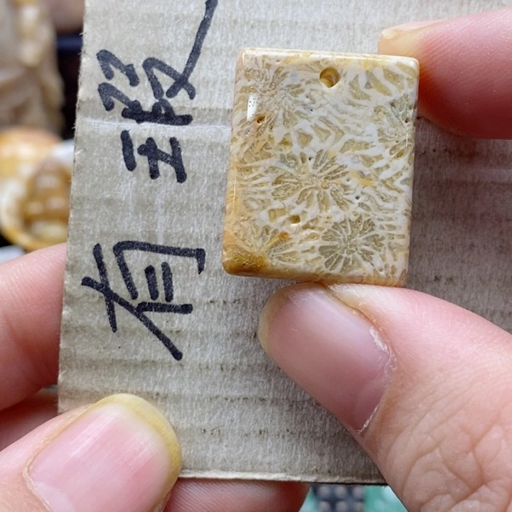 硅化珊瑚（珊瑚玉）颈饰未镶嵌默**闻