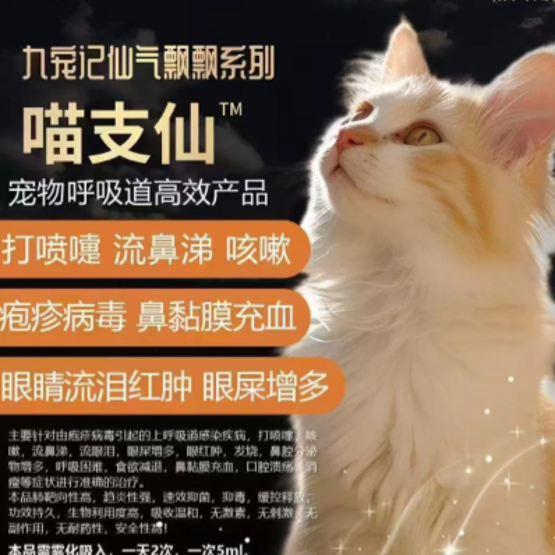 喵支仙猫咪呼吸道雾化