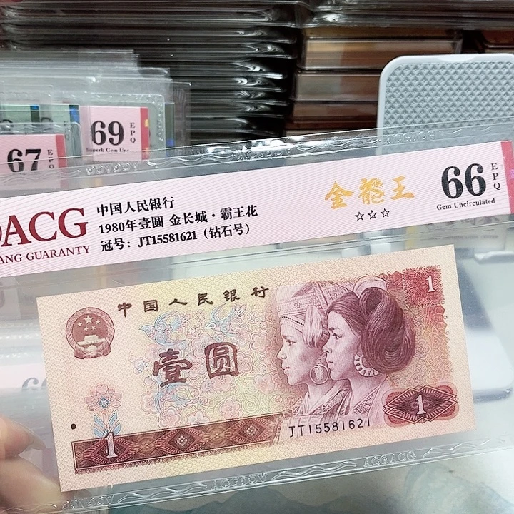 15581621。。生日号  金龙王