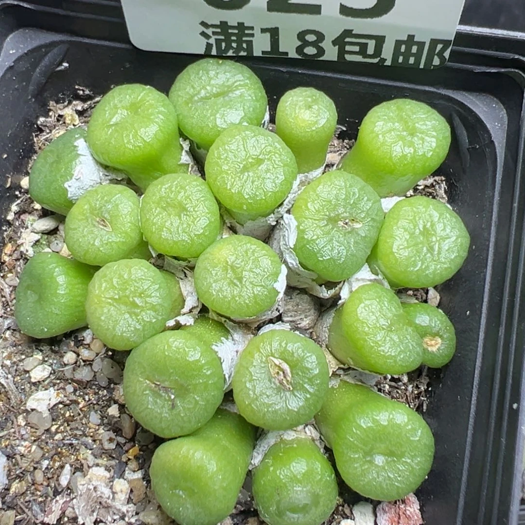 【闪购商品】 023。